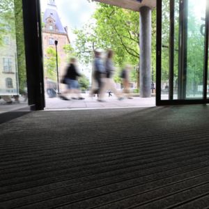 maxxis-entreemat-natuurtint